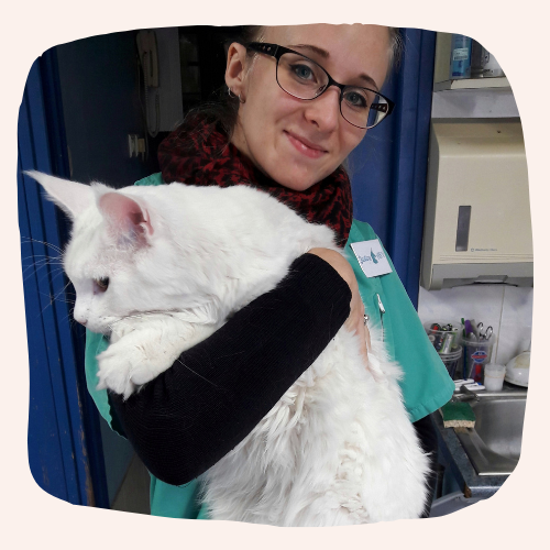 Justine Le Rouzès communication animale Annecy France