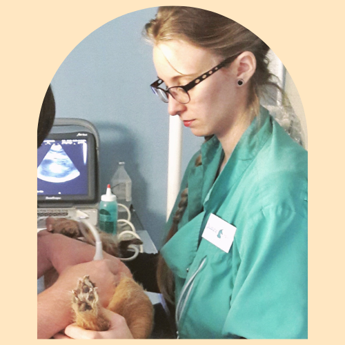 Justine Le Rouzès communicatrice animale Annecy France