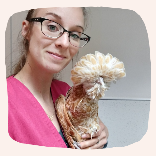 Justine Le Rouzès communication animale Annecy France