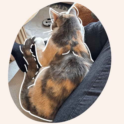 Justine Le Rouzès communication animale Annecy France