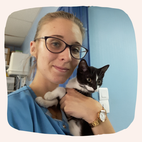 Justine Le Rouzès communication animale Annecy France