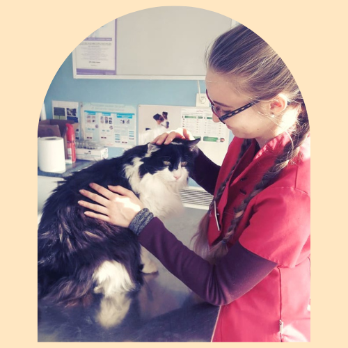 Justine Le Rouzès communicatrice animale Annecy France