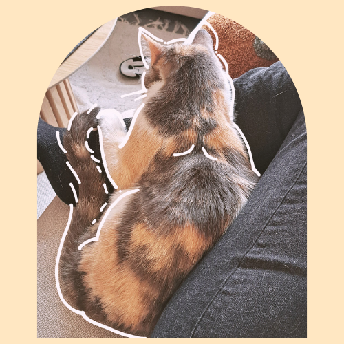 Justine Le Rouzès communicatrice animale Annecy France