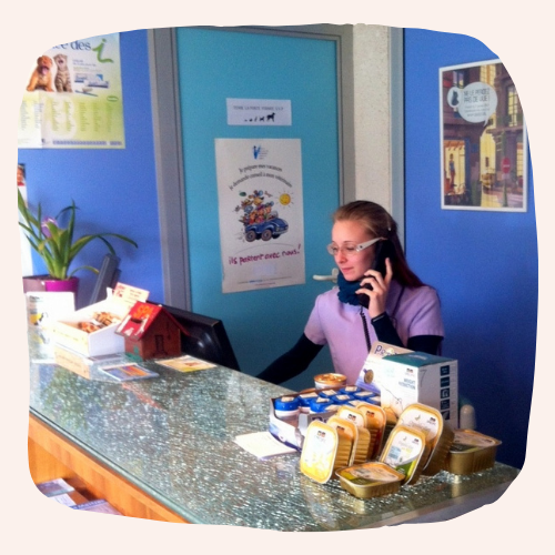 Justine Le Rouzès communication animale Annecy France