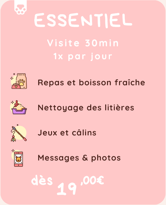 Capture decran 2026 01 13 112001