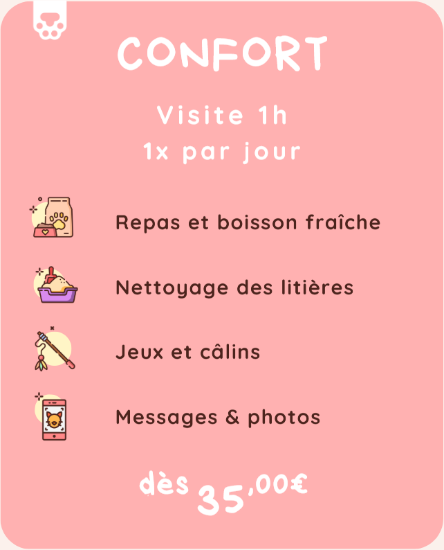 Capture decran 2026 01 13 112402