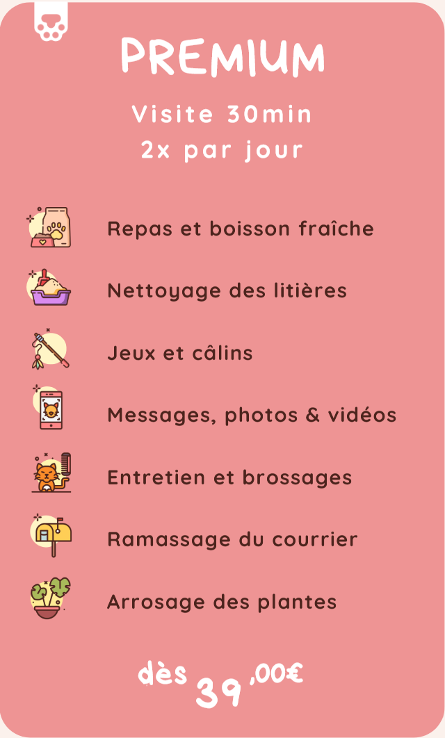 Capture decran 2026 01 13 112719