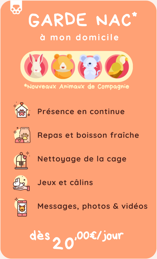 Capture decran 2026 01 13 112847