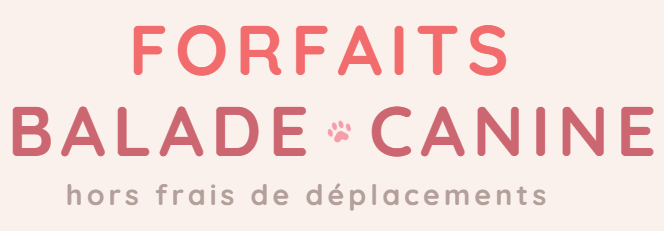 Capture decran 2026 02 24 183252