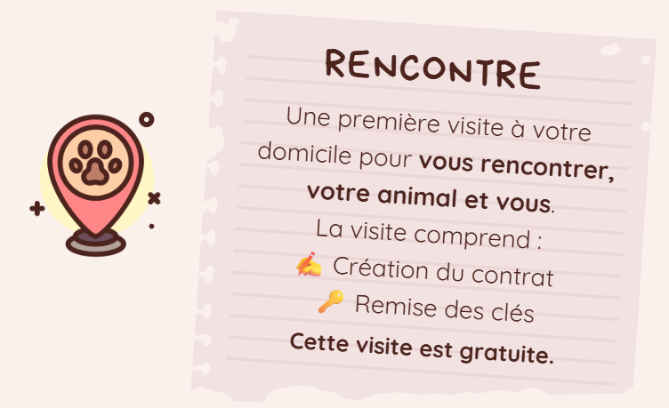 Capture decran 2026 02 25 162742