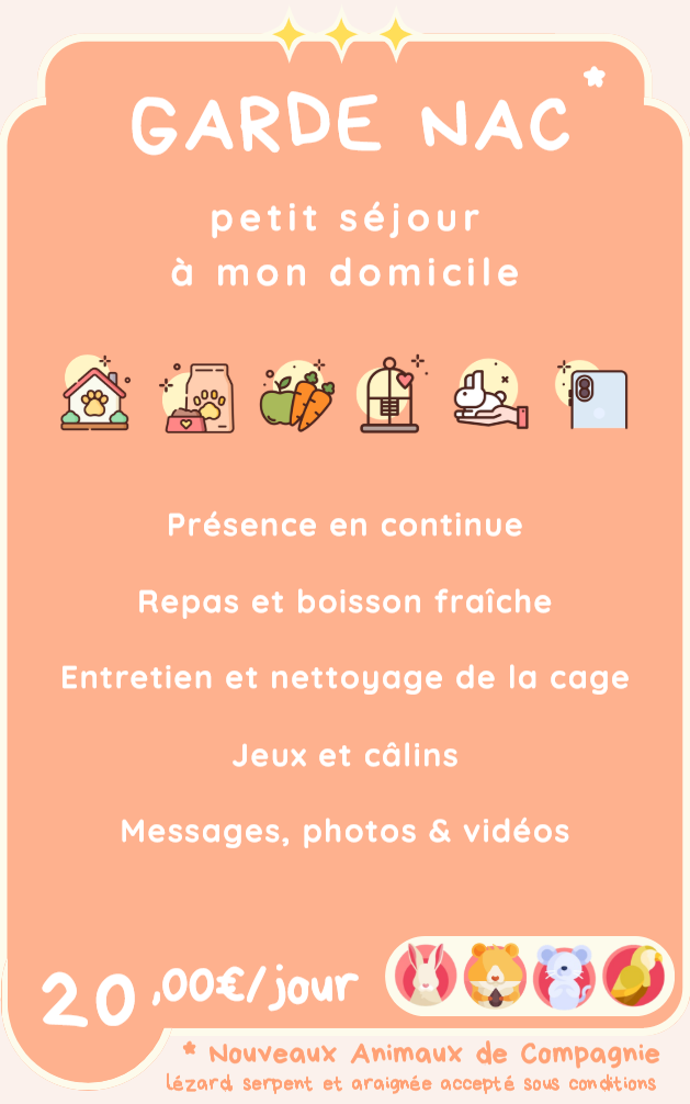 Capture decran 2026 02 25 184825