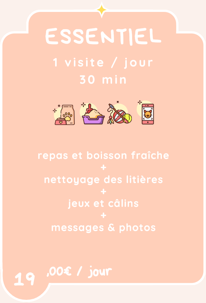 Capture decran 2026 03 05 174753