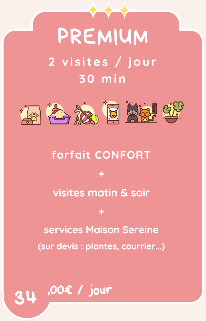 Capture decran 2026 03 05 174850