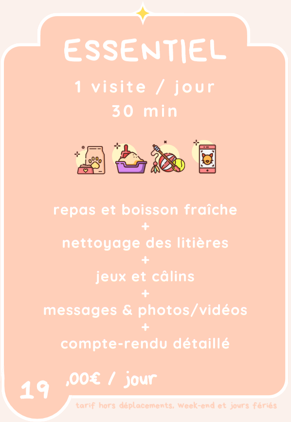 Capture decran 2026 06 02 151006