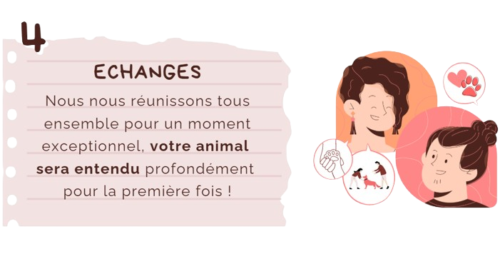 Capture d ecran 2025 11 13 123636 removebg preview