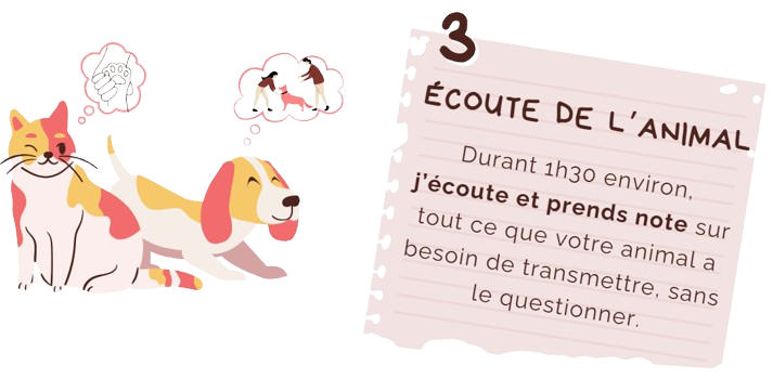 Capture d ecran 2025 11 13 123942 removebg preview