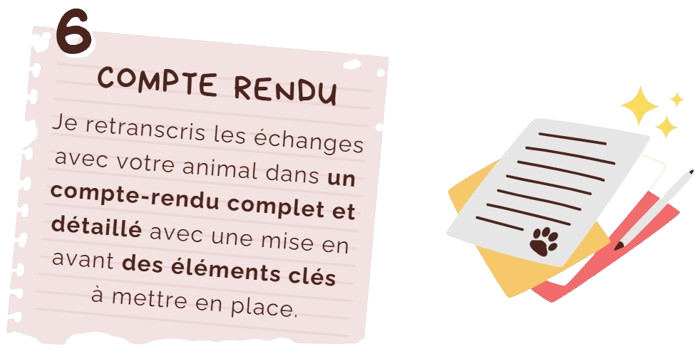 Capture d ecran 2025 11 13 124218 removebg preview