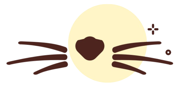 Capture d ecran 2026 02 04 171024 removebg preview