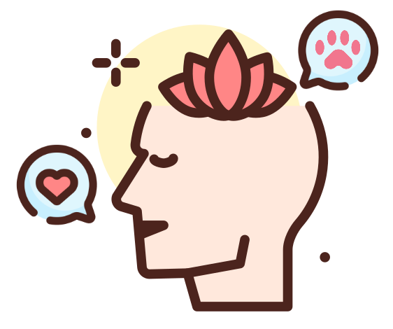 Meowsotis Tous droit reserves