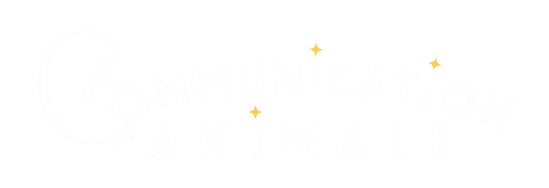 Titre sans Fond Communication