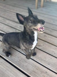 307729643_482036580454279_4333841651862398905_n