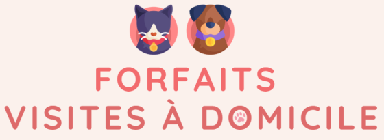 Justine Le Rouzès communication animale Annecy France