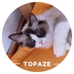 Justine Le Rouzès communicatrice animale Annecy France