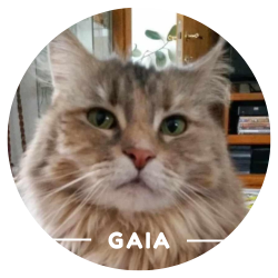 Justine Le Rouzès communication animale Annecy France