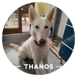 Justine Le Rouzès communicatrice animale Annecy France