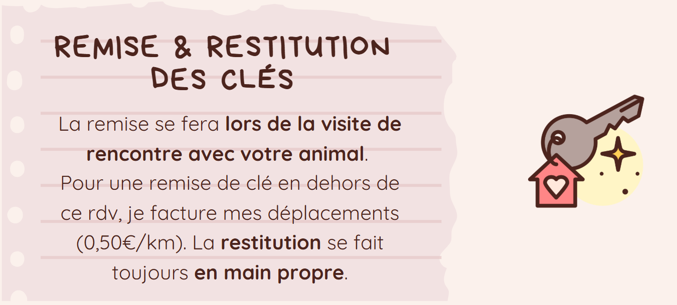 image 2026 01 15 162557420