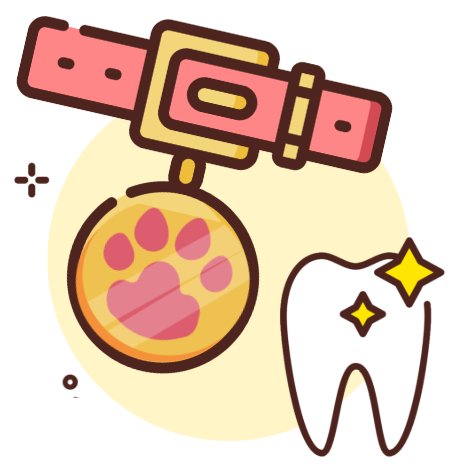 image 2026 02 04 181559725