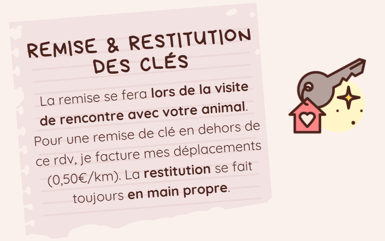 image 2026 02 25 162656245