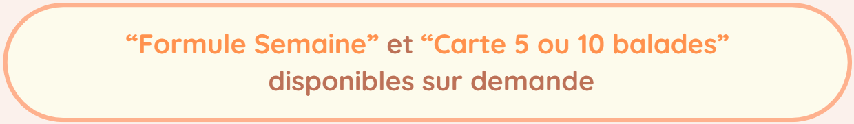 image 2026 03 06 125522633