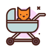 stroller